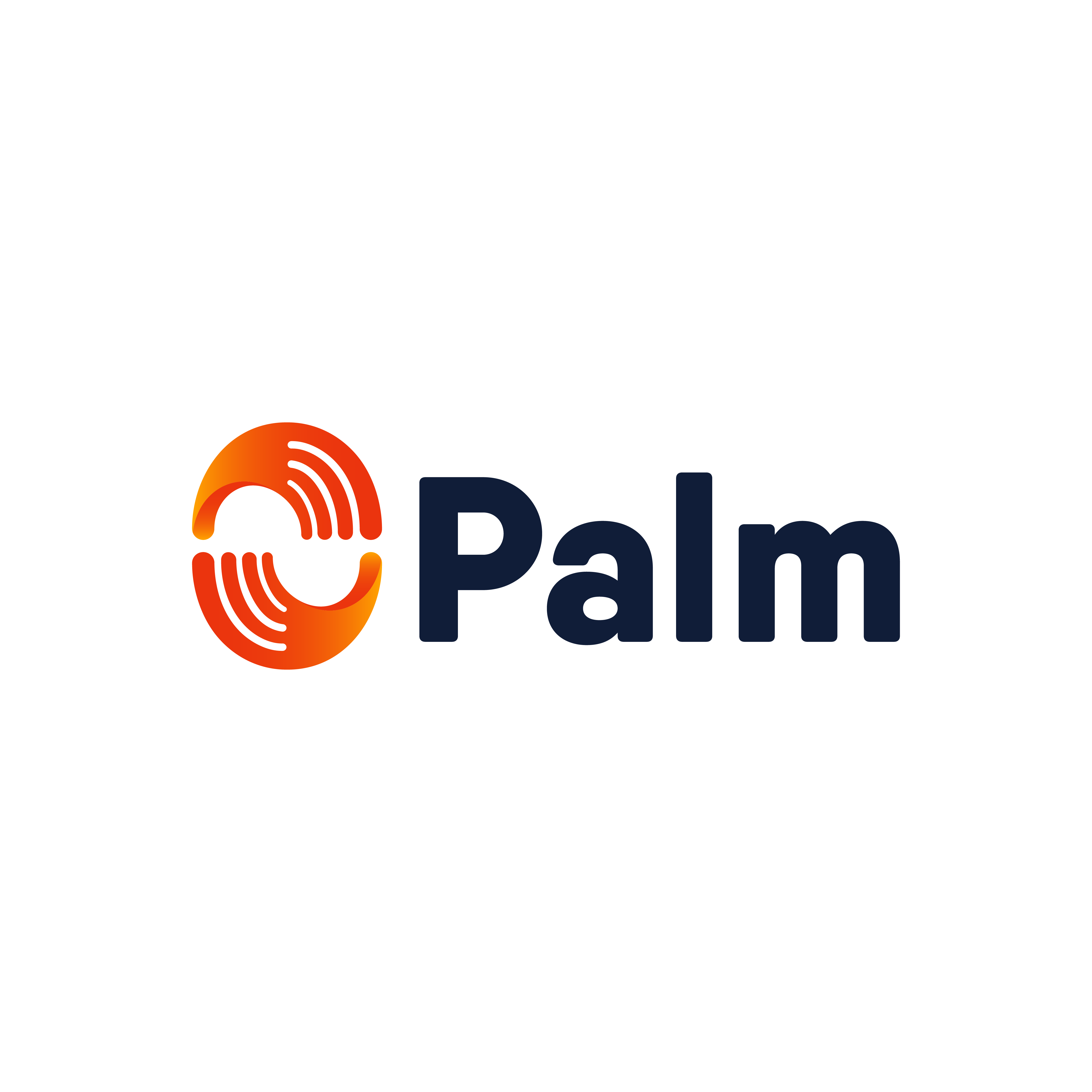 Palm IT