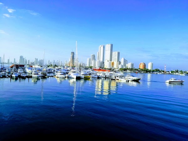 Club de pesca de Cartagena - Marina