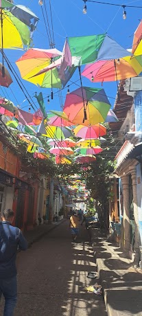 Mural del Tigre · Cartagena de Indias