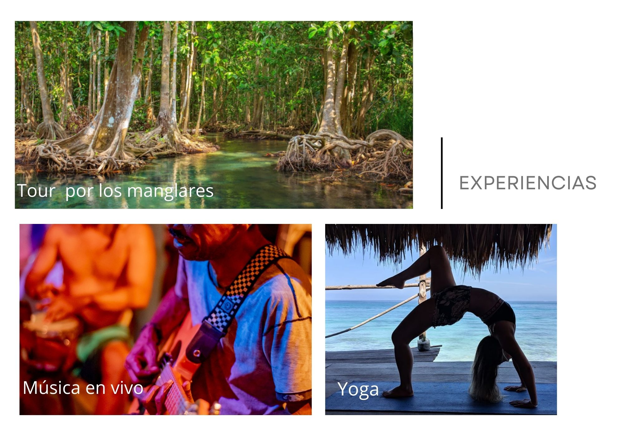 Cardumen Arte Cocina Ecohouse | Rates & Experiences / Tarifas y Experiencias