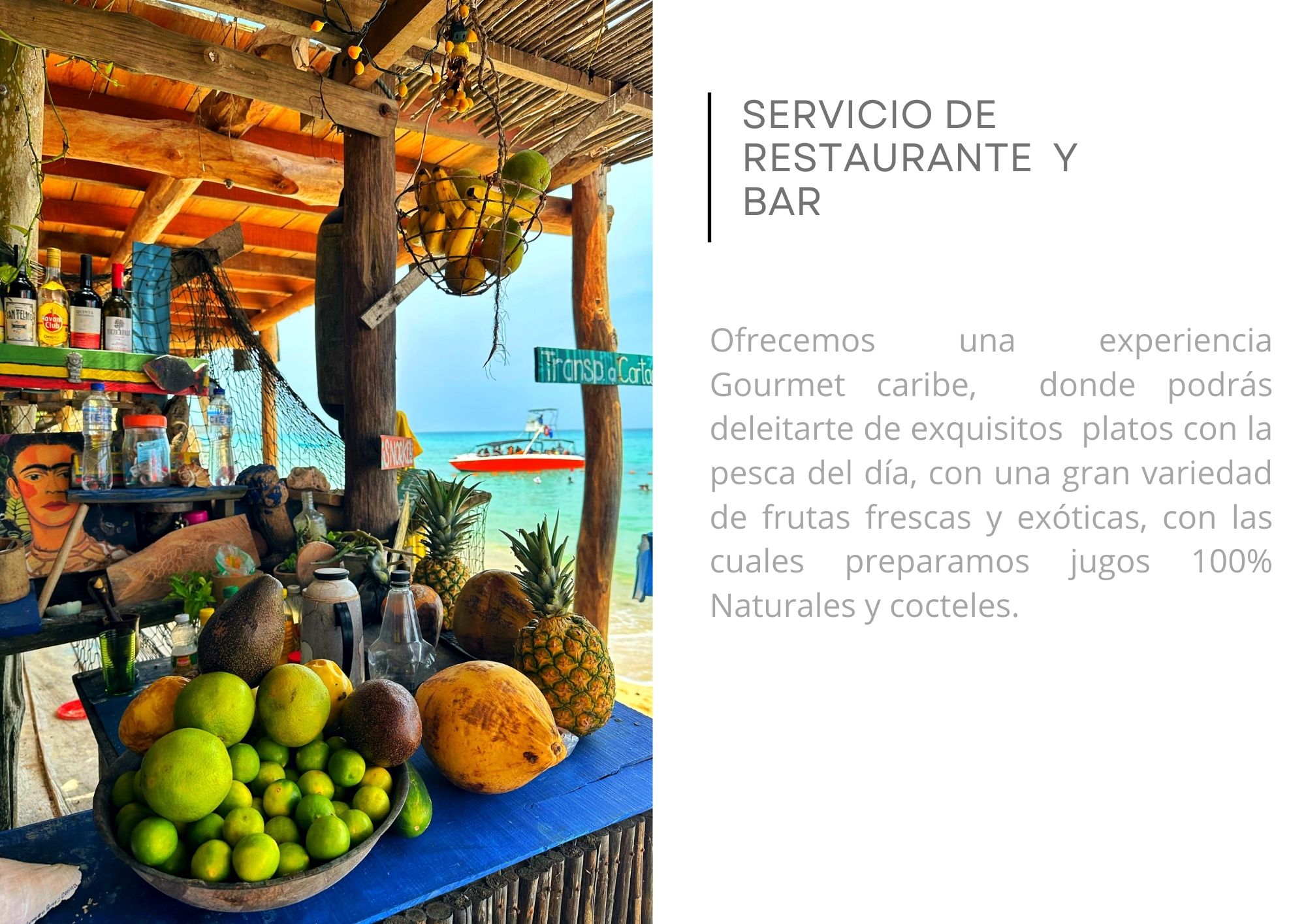 Cardumen Arte Cocina Ecohouse | Rates & Experiences / Tarifas y Experiencias