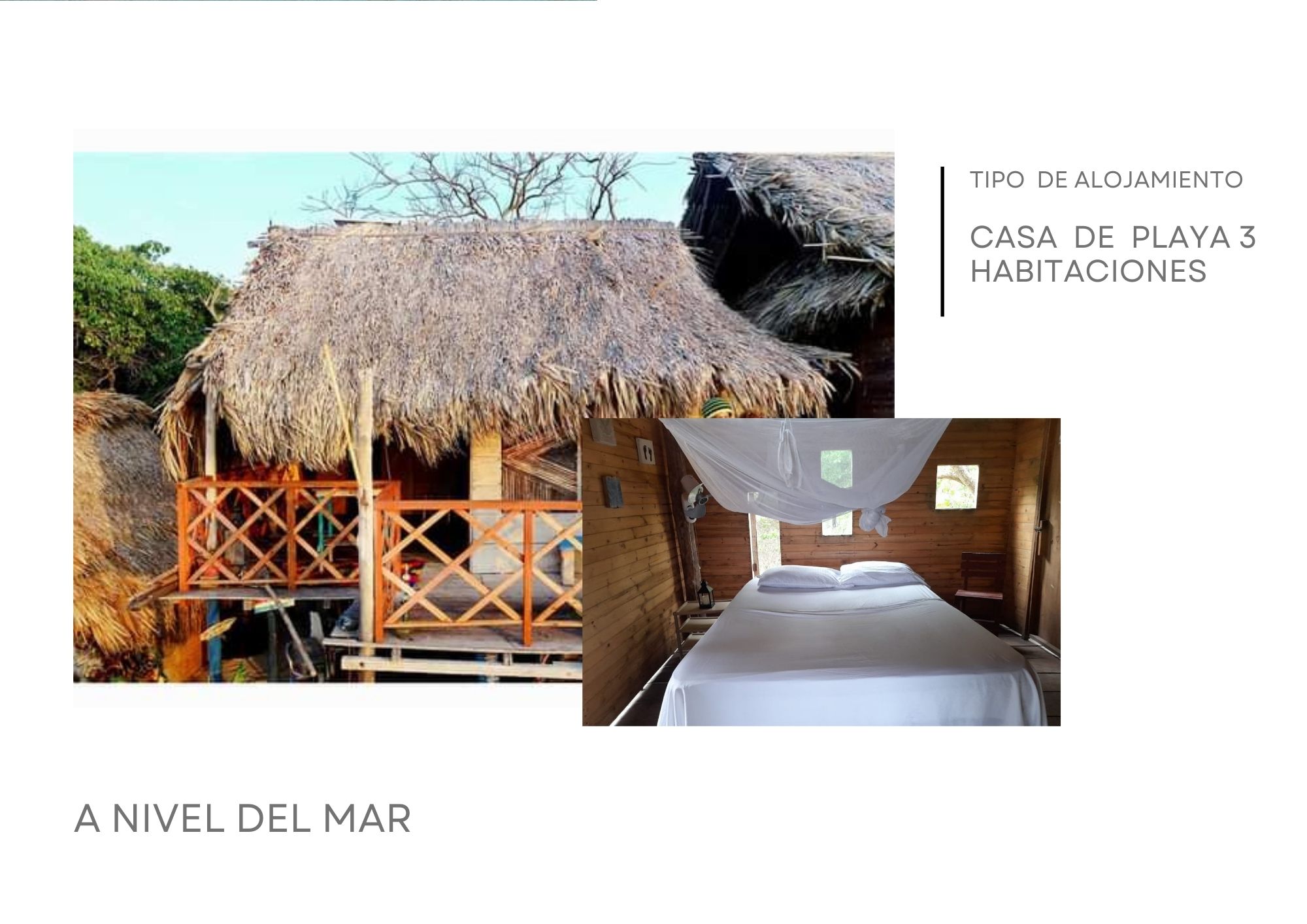 Cardumen Arte Cocina Ecohouse | Rates & Experiences / Tarifas y Experiencias