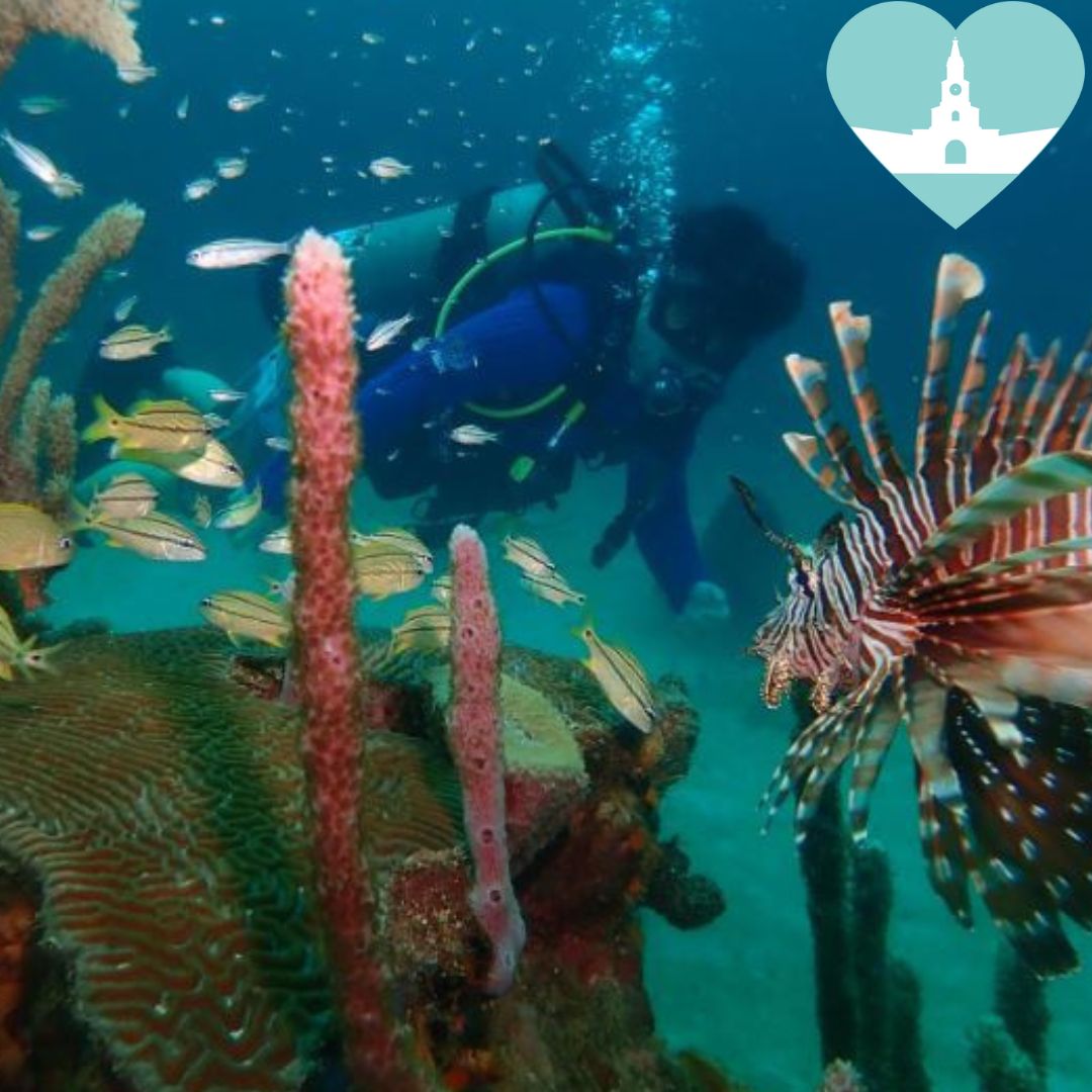 Aventura Submarina en el Caribe: Buceo y Relax en Mambo Cartagena / Introductory Dive Tour + Full Day Pass at Mambo Beach
