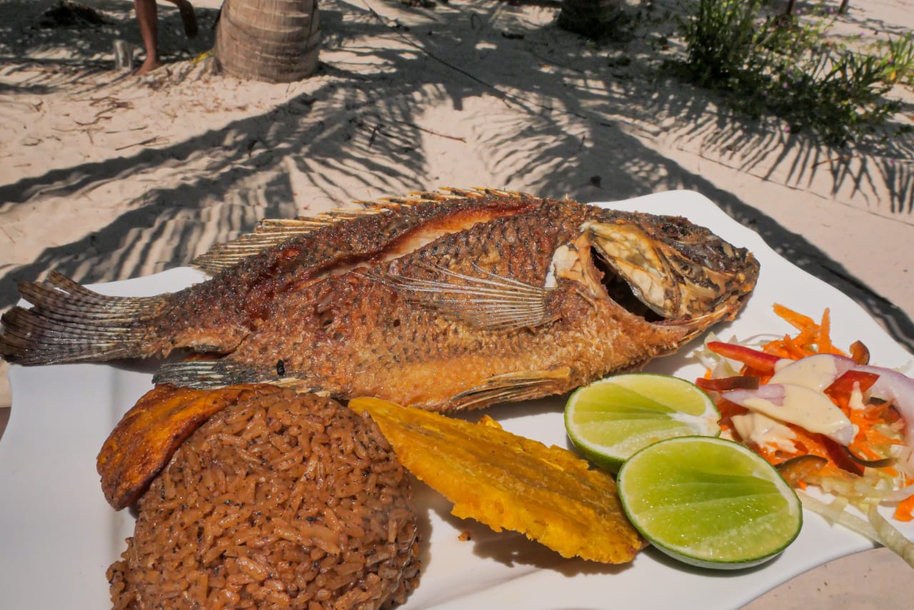 Tour Islas del Rosario VIP en Cartagena: Playa, Snorkeling y Diversión / VIP Islas del Rosario Tour in Cartagena: Beach, Snorkeling, and Fun