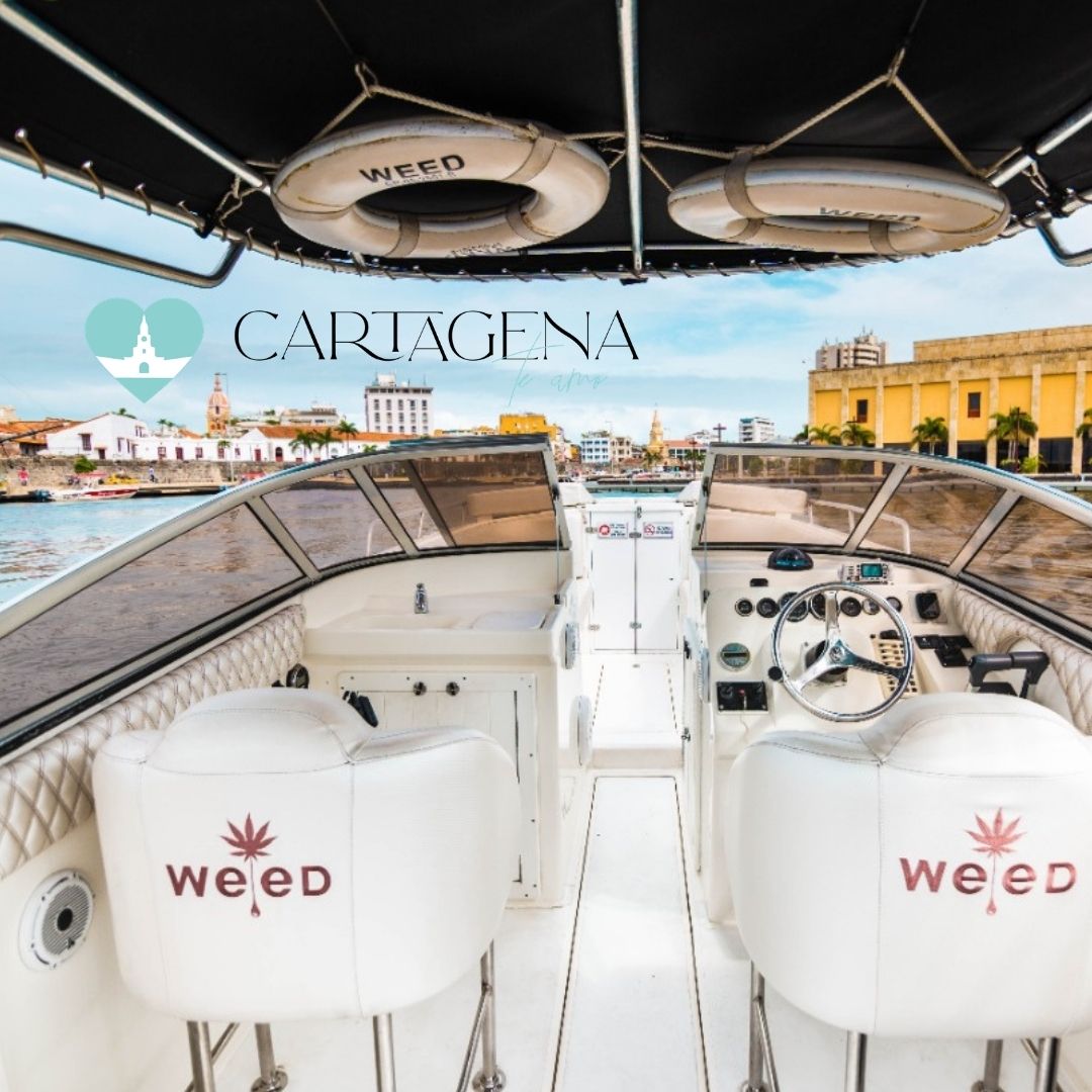 Weed Fast Boat 38 Ft