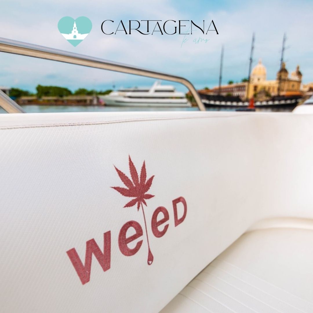 Weed Fast Boat 38 Ft