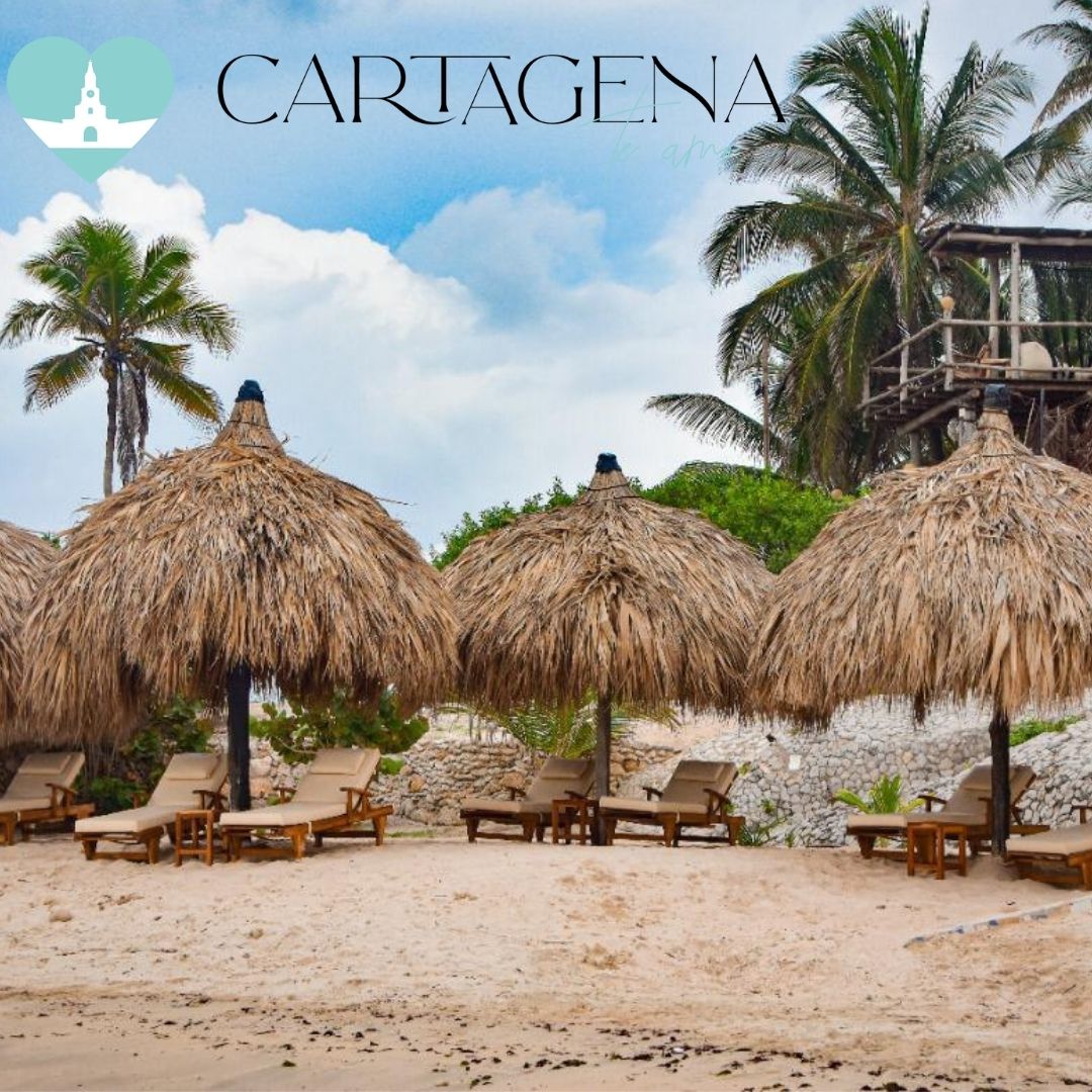 Vista Mare – Beach Club -Tierra Bomba