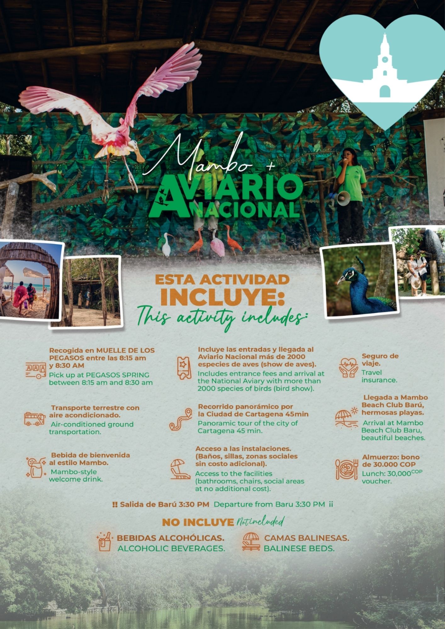 Naturaleza y Relax en un Solo Día: La Aventura Mambo + Aviario /Experience MAMBO BEACH + AVIARY in Cartagena: Fun and Nature in One Day