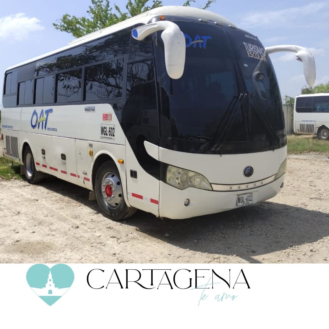 AUTO -BUS TRANSFER SERVICE