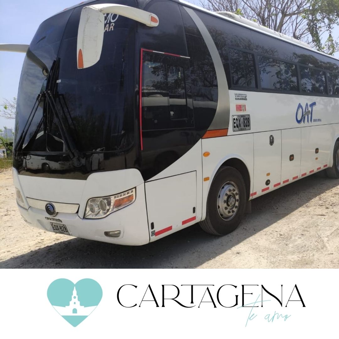 AUTO -BUS TRANSFER SERVICE