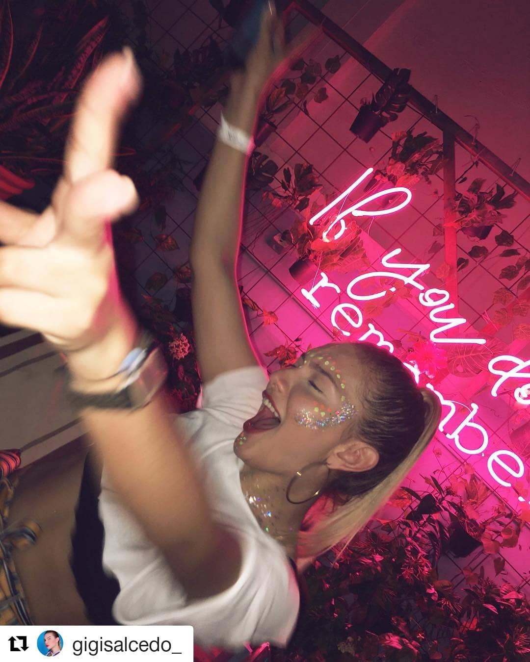 Pleke Pleke Cartagena: La Mejor Fiesta Novembrina en el Cabildo de Getsemani – Coto bar