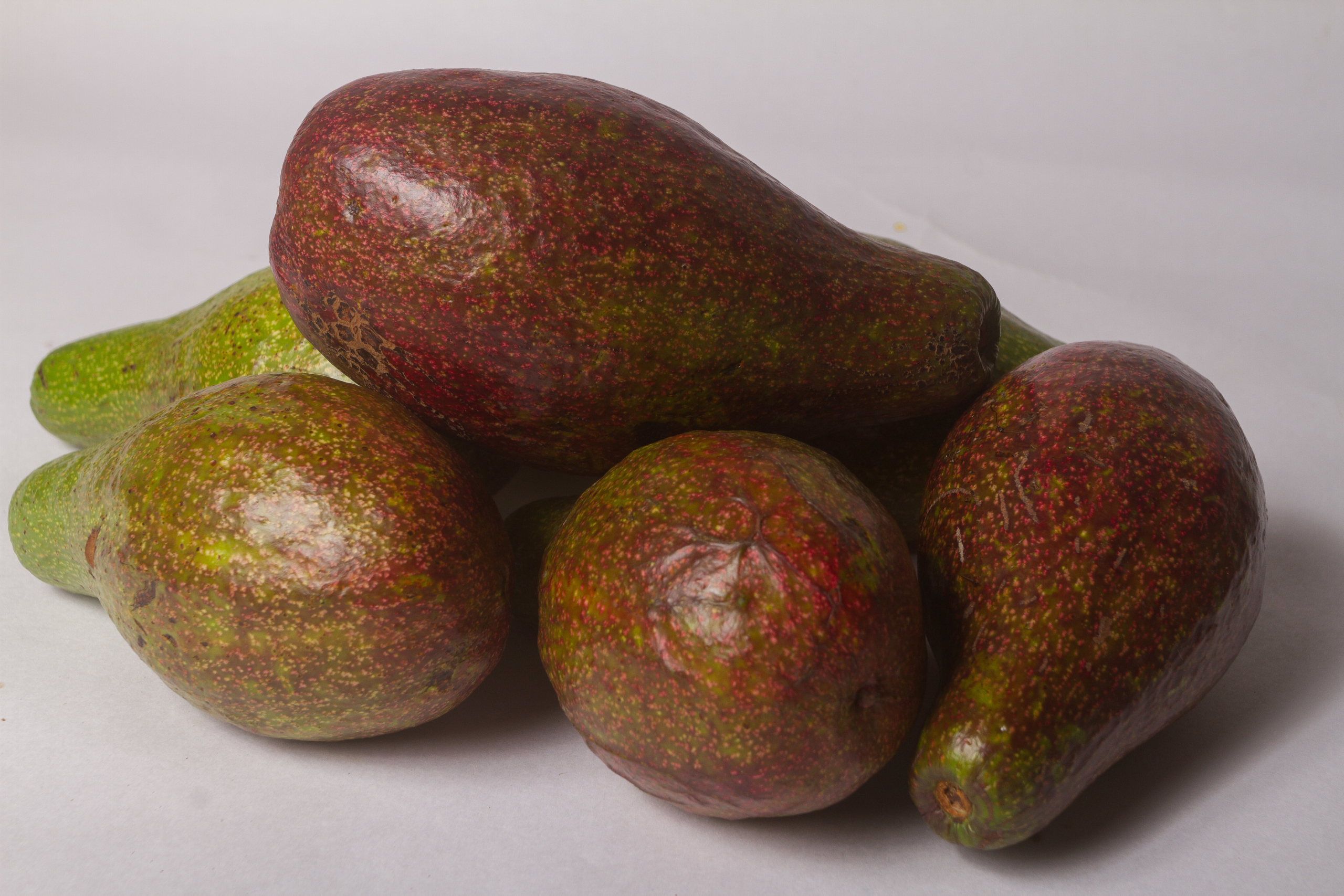 Tesoros Verdes de Bolívar: Descubre el Aguacate Colombiano /Green Treasures of Bolívar: Discover Colombian Avocado