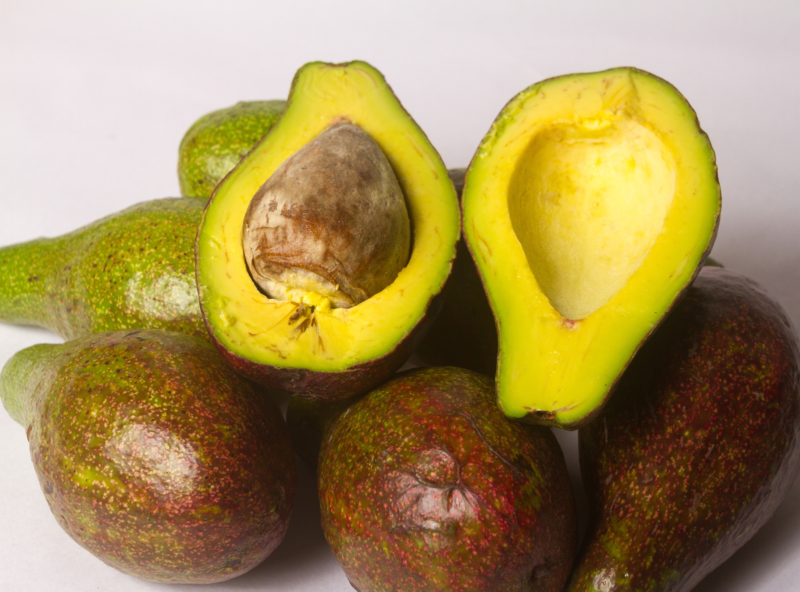 Tesoros Verdes de Bolívar: Descubre el Aguacate Colombiano /Green Treasures of Bolívar: Discover Colombian Avocado