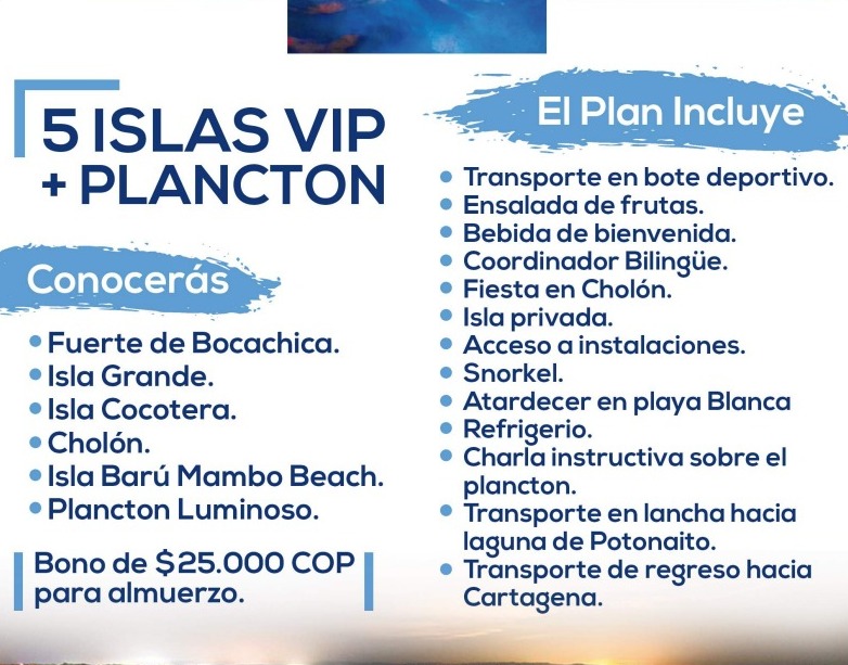 Tour Plancton Cartagena / iluminación bioluminiscente