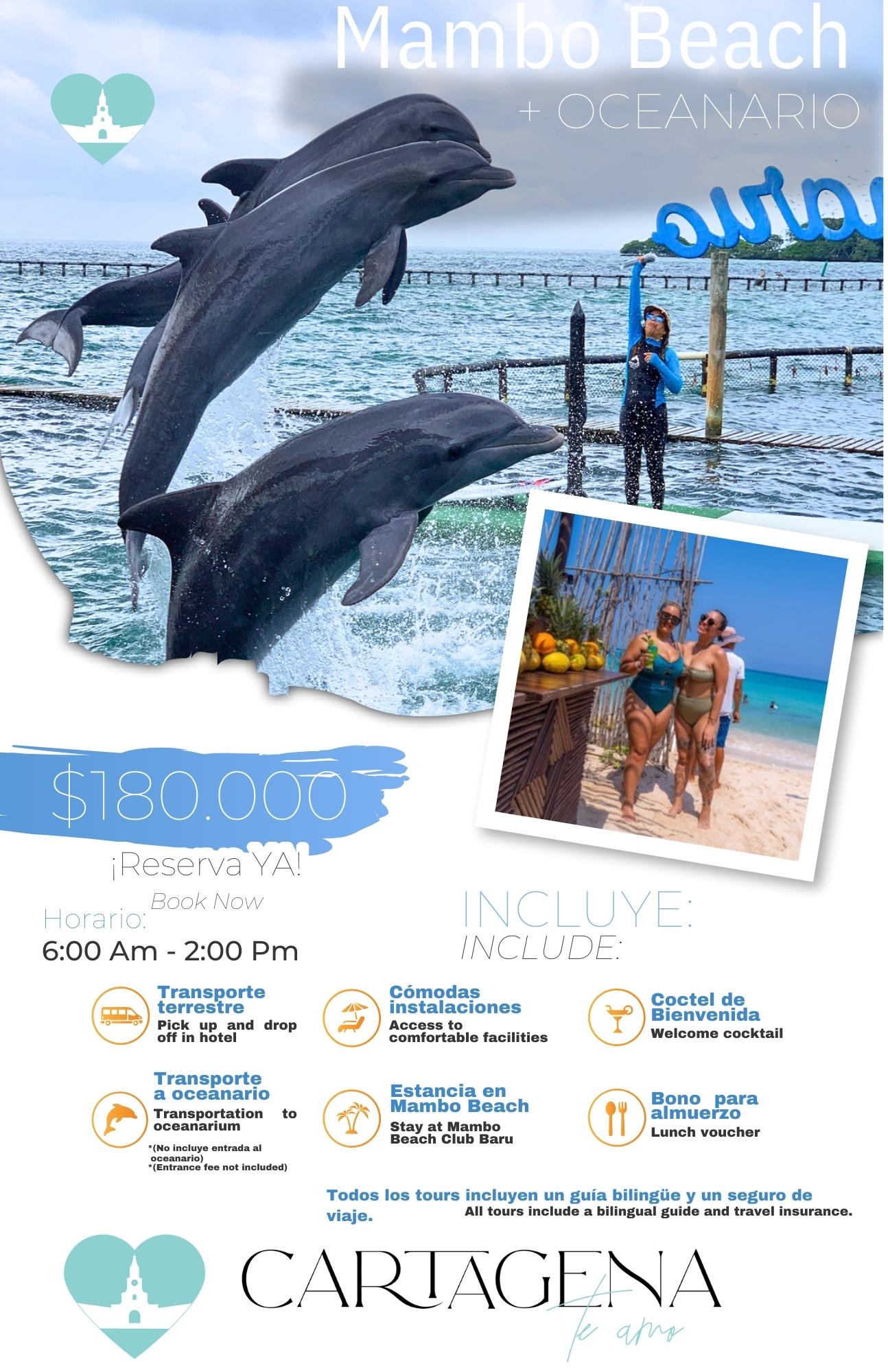 Aventura Marina en Mambo Beach y el Oceanario / Marine Adventure at Mambo Beach and the Oceanarium