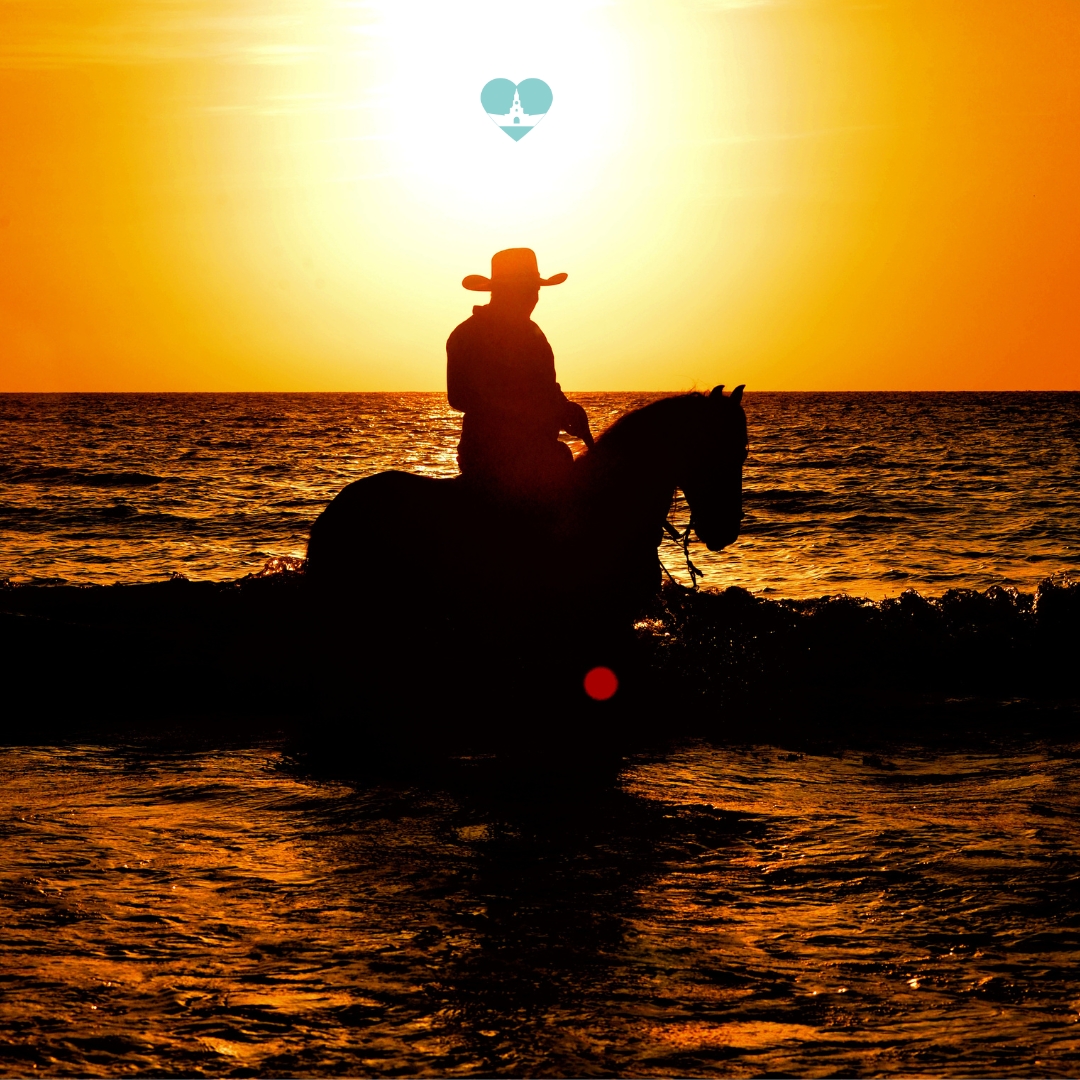 Paseo a Caballo en la Playa de Cartagena: Descubre la Belleza Costera y la Cultura Colombiana / Horseback Riding on Cartagena Beach: Discover Coastal Beauty and Colombian Culture