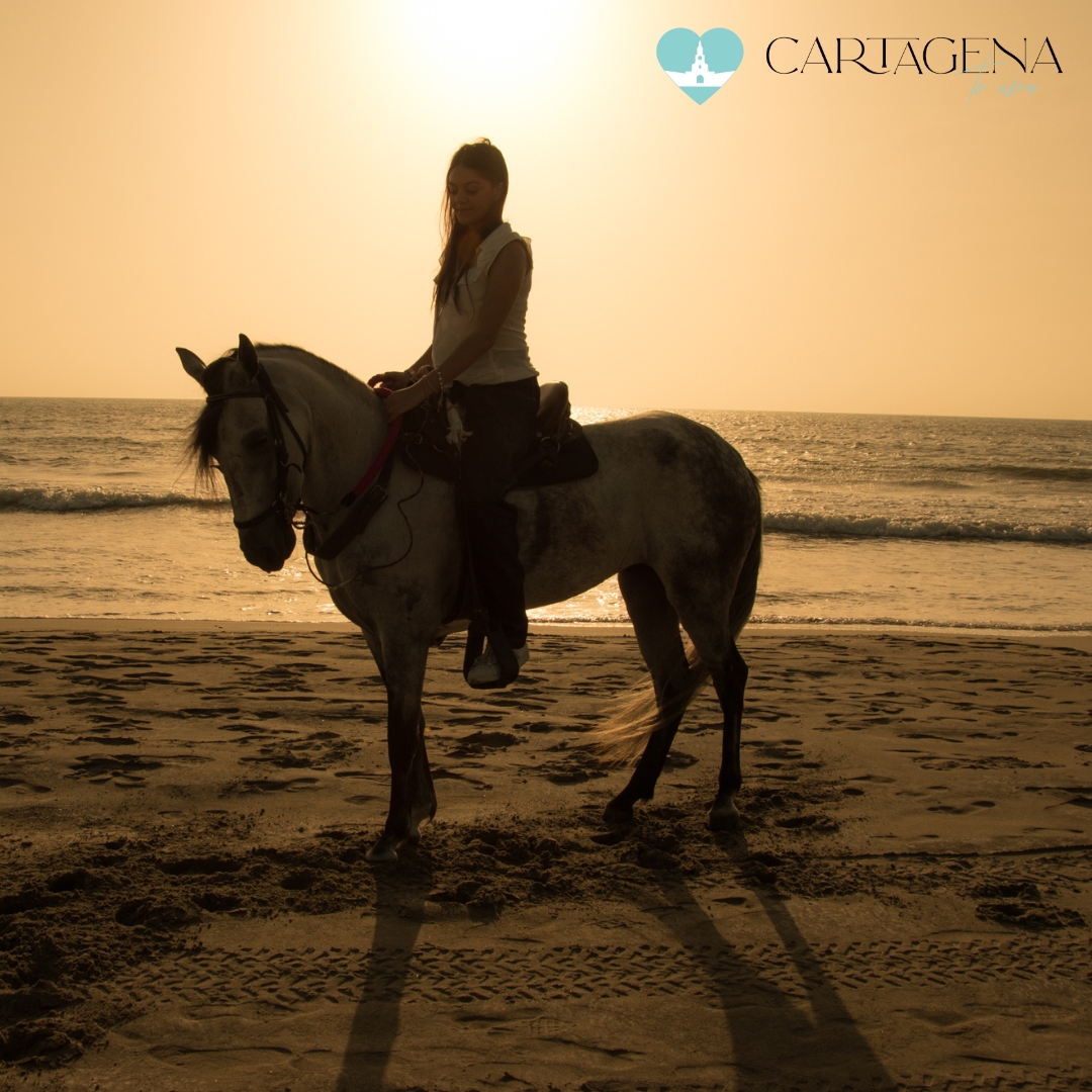 Paseo a Caballo en la Playa de Cartagena: Descubre la Belleza Costera y la Cultura Colombiana / Horseback Riding on Cartagena Beach: Discover Coastal Beauty and Colombian Culture