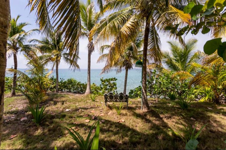 Isla Amor – Experiencia Única en las Islas del Rosario / Isla Amor – Unique Experience in the Rosario Islands