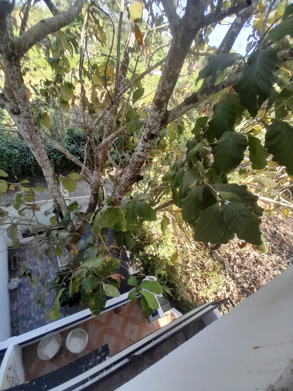 Escapa a la Tranquilidad: Alquila Casa Finca la Fantástica en Turbaco, Cartagena / Escape to Tranquility: Rent Casa Finca la Fantástica in Turbaco, Cartagena