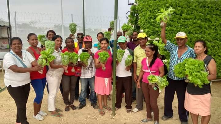 Descubre los Sabores Auténticos de Bolívar: Productos Agrícolas que Empoderan a Nuestros Campesinos