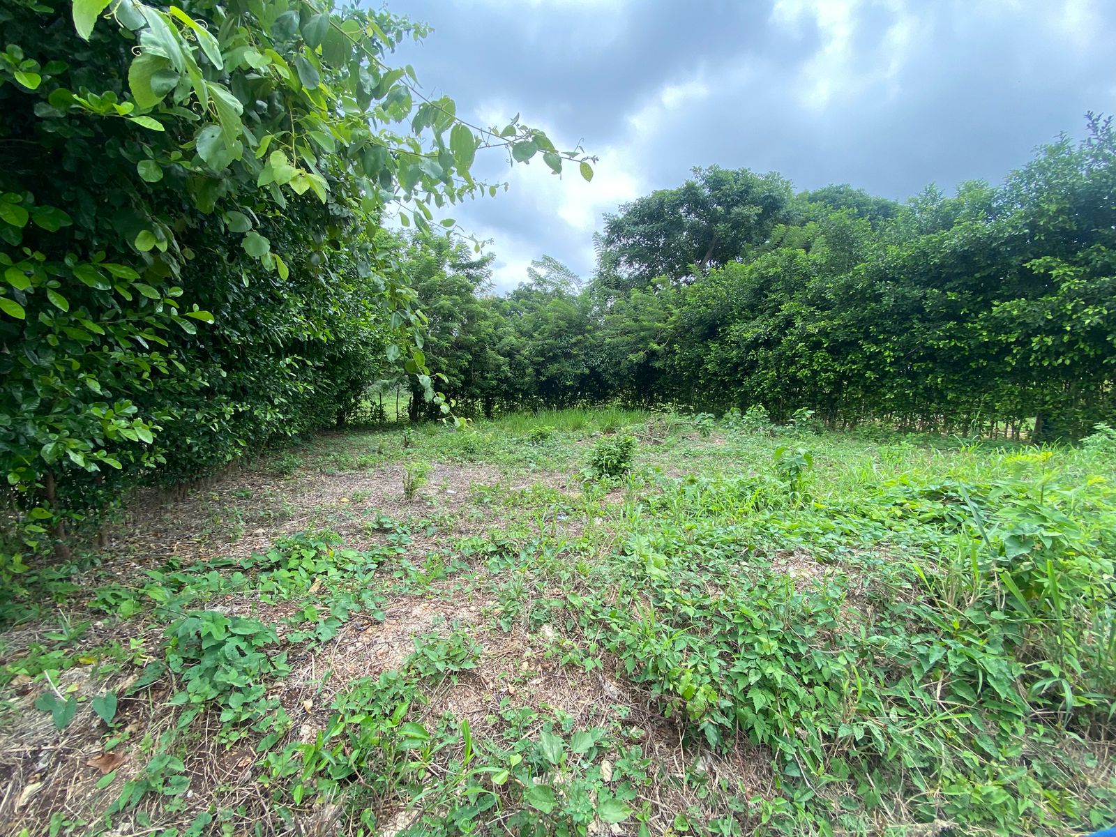 Terreno en venta en Turbaco – Barrio La Granja