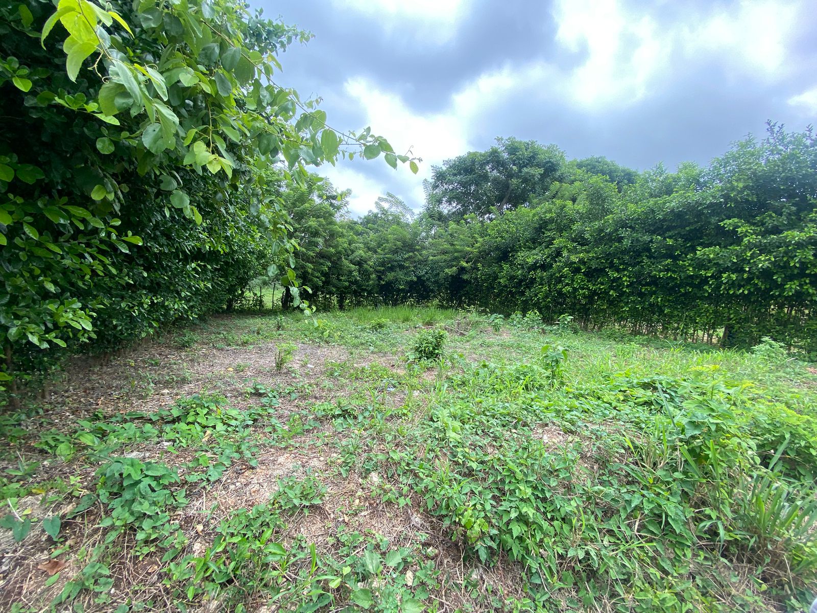 Terreno en venta en Turbaco – Barrio La Granja