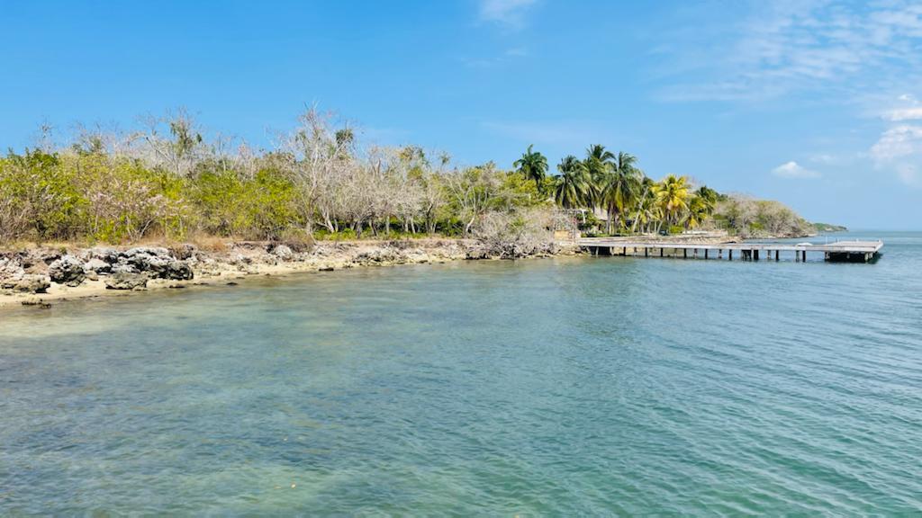 Lote en Venta en Barú, Cartagena de Indias – Frente al Mar Caribe / Beachfront Land for Sale – Barú, Cartagena de Indias, Colombia