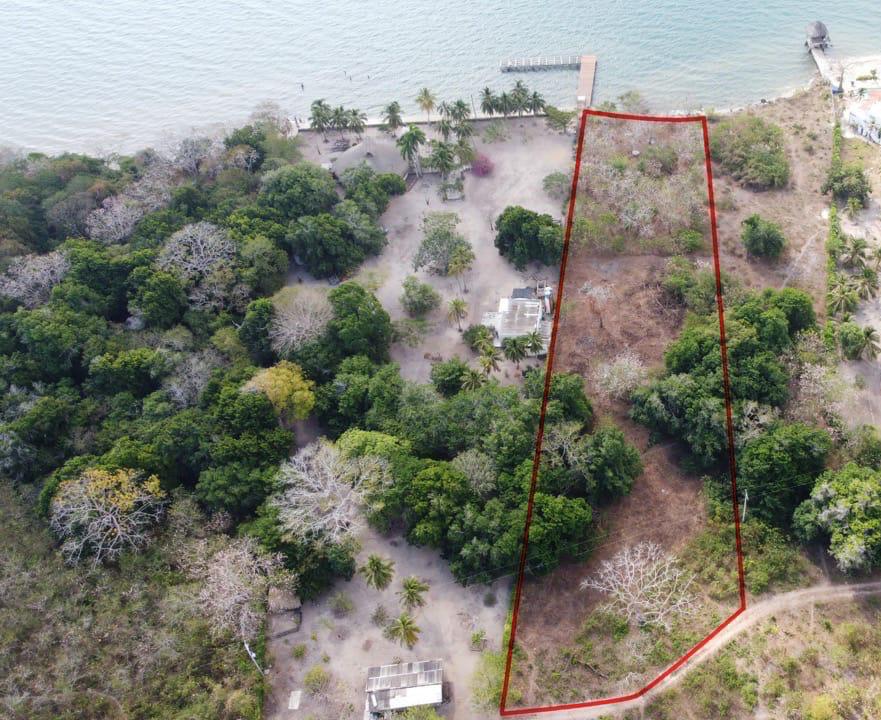 Lote en Venta en Barú, Cartagena de Indias – Frente al Mar Caribe / Beachfront Land for Sale – Barú, Cartagena de Indias, Colombia