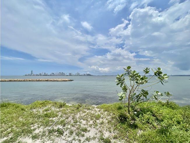 Lote en Venta Frente al Mar – Isla de Tierrabomba, Cartagena / Oceanfront Lot for Sale – Tierrabomba Island, Cartagena