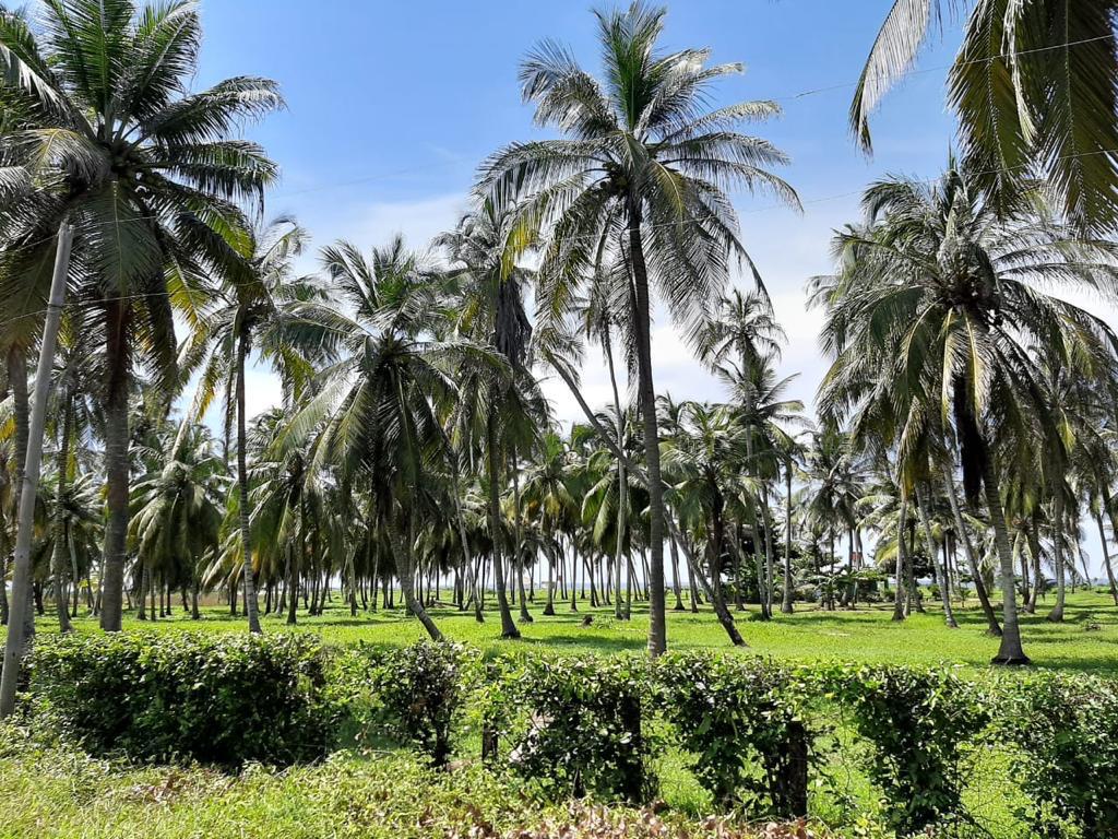 Oceanfront Land for Sale – North Zone, Cartagena de Indias