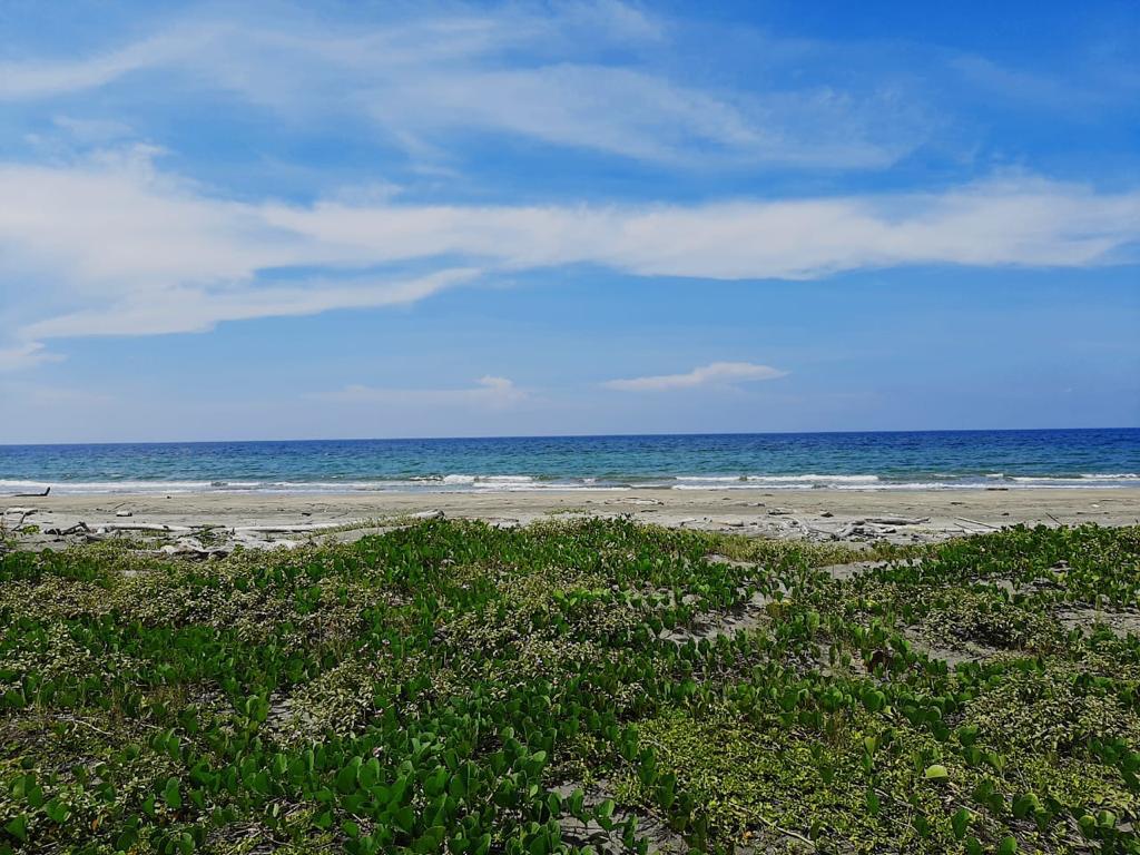 Oceanfront Land for Sale – North Zone, Cartagena de Indias