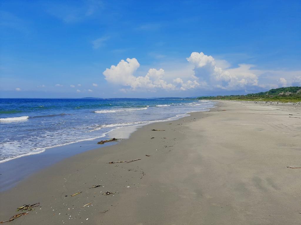 Oceanfront Land for Sale – North Zone, Cartagena de Indias