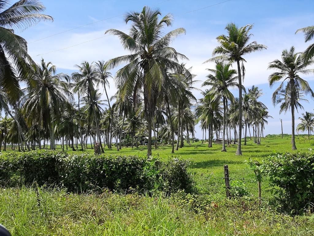 Oceanfront Land for Sale – North Zone, Cartagena de Indias