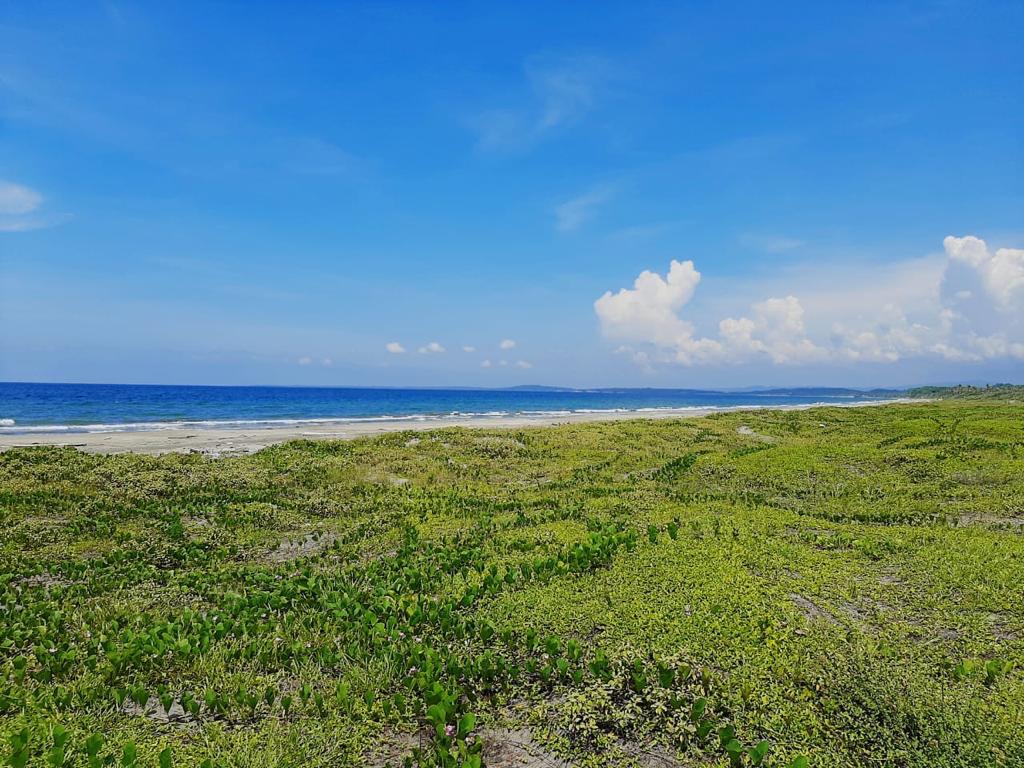 Oceanfront Land for Sale – North Zone, Cartagena de Indias